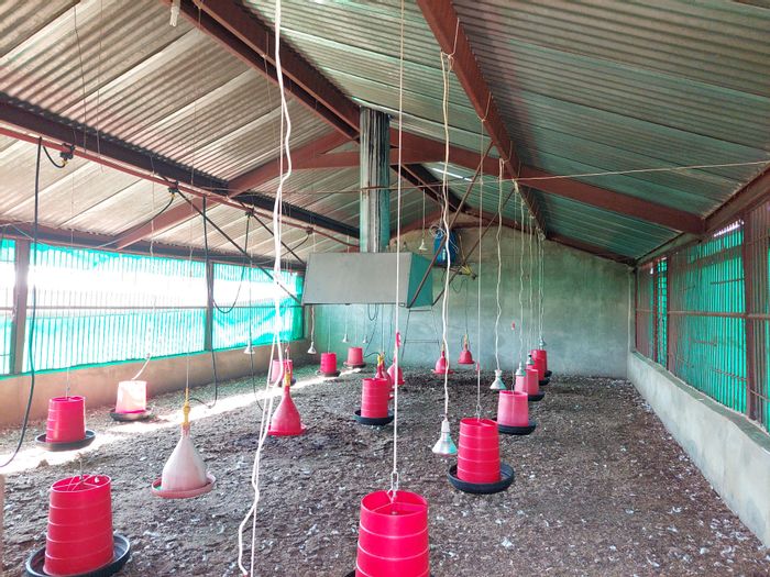 Lusthof Farm For Sale: 22 ha with broiler houses, cattle kraal, and borehole.