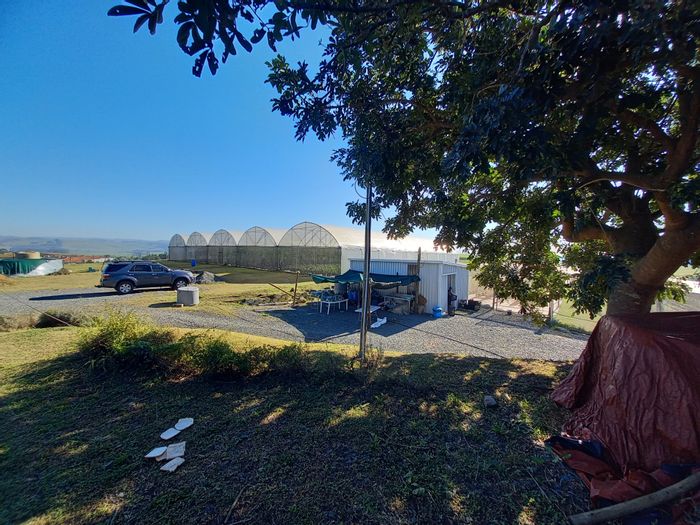 Ballito Rural Farm For Sale: Fully functional, irrigated, solar-powered with multiple tunnels.