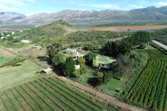 Versatile 433 Ha Farm in Montagu Rural For Sale: Multiple Income Streams, Prime Agriculture