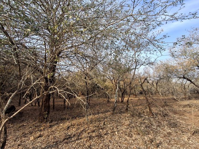 Vacant Land Residential for Sale in Marloth Park Central, near Kruger Park fence.