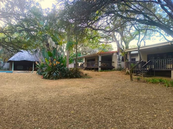 Alkmaar Farm For Sale: Two homes, macadamia orchards, workshop, and swimming pool.