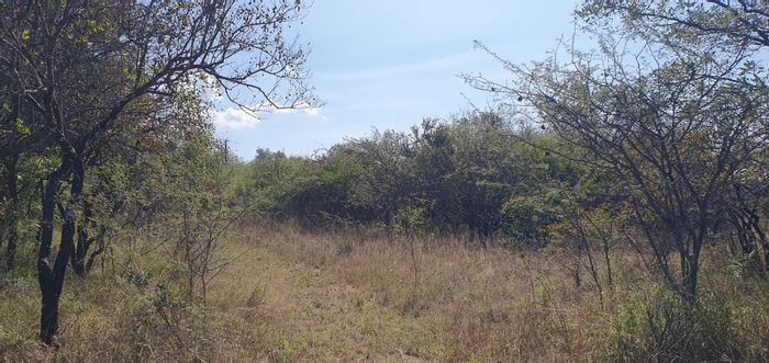 For Sale: Mookgopong Central Small Holding with borehole, grazing land, and fencing.