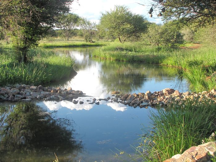 Vacant Land Residential for Sale at Ditholo Wildlife Estate with game viewing amenities.