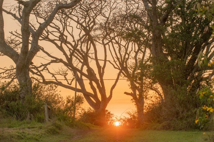 For Sale: House in Sheffield Beach with private gardens, clubhouse, and walking trails.