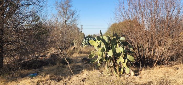 Prime Vacant Land for Sale in Vaal Marina Central – Stunning Views Await!