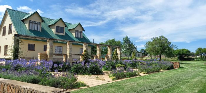 Dullstroom Rural Farm For Sale: 13 hectares, nine bedrooms, hazelnut trees, and sheds.
