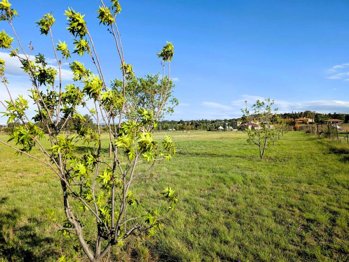 Vacant Land Residential For Sale in Blue Saddle Ranches with fruit trees and fencing.