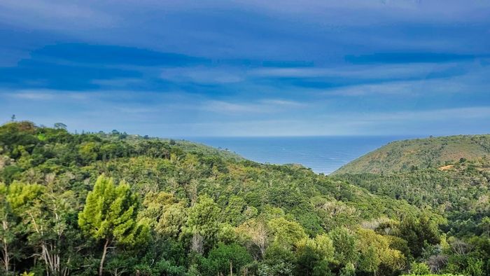 Victoria Heights For Sale: 2000m2 vacant land with ocean views and nature trails.