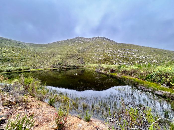 Uniondale Rural Farm For Sale: 2,500m³ dam, diverse flora, exclusive access.