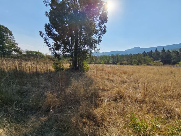 Vacant Land Residential For Sale in Louis Trichardt Central, ideal for lodge/hotel development.