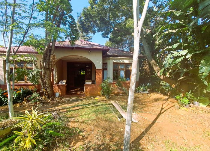 Arcadia House For Sale: Business-zoned, 4 bedrooms, flatlets, expansive yard.