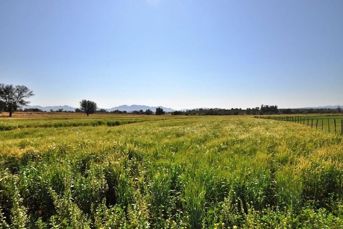 Irrigation farm with multiple dwellings and infrastructure in Oudtshoorn Rural, For Sale.