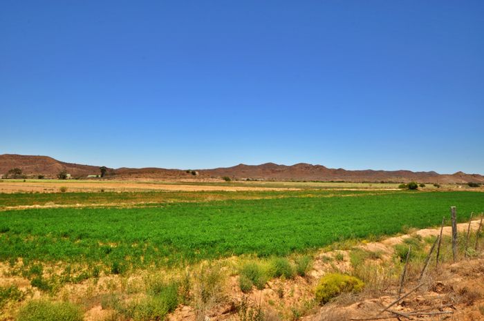 Ladismith Rural Farm For Sale: 983ha with irrigation, boreholes, and multiple dwellings.