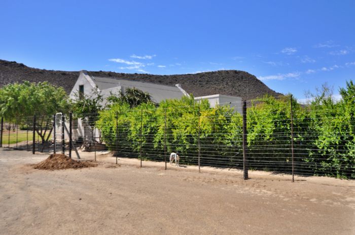 Ladismith Rural Farm For Sale: 291ha with irrigation, boreholes, and seed production facilities.