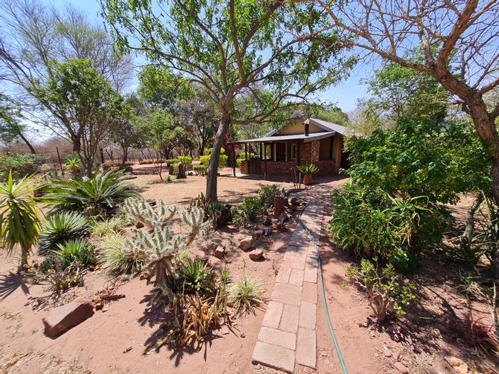 For Sale: 68-hectare farm in Modimolle Rural with borehole, sheds, and accommodations.