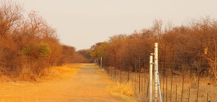 For Sale: Mookgopong Central Farm with grazing land, borehole, and cattle facilities.