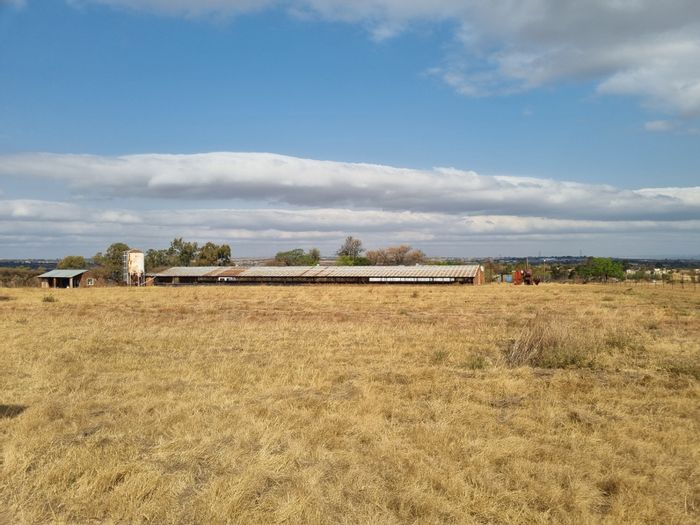 For Sale: Doornrandje Farm with infrastructure, boreholes, and versatile development potential.