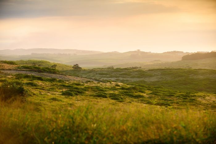 Seaton Estate For Sale: Vacant Residential Land with Beach Access and Security Features.