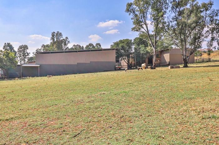 Farm for Sale in Hartzenbergfontein: Equestrian facilities, business potential, and security.