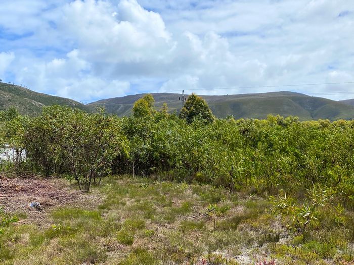 Franskraal Vacant Land Residential For Sale: Panhandle plot near beach, mountain views.