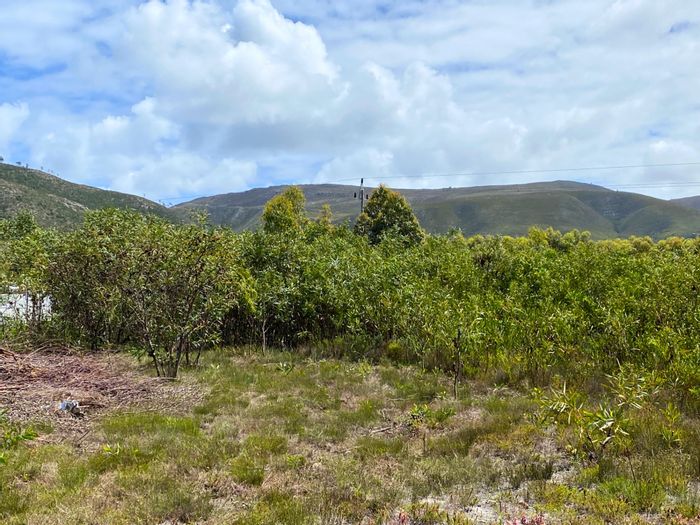 Franskraal Vacant Land Residential For Sale: Panhandle plot near beach, mountain views.