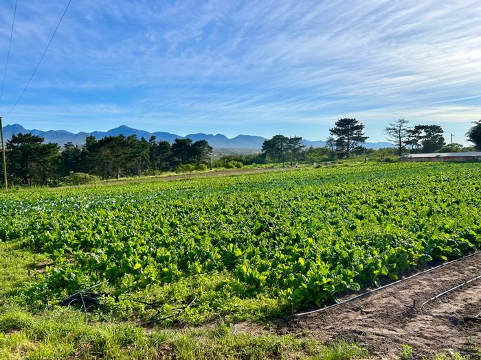 For Sale: Farm in Hansmoeskraal AH with flat, irrigation, and entertainment area.