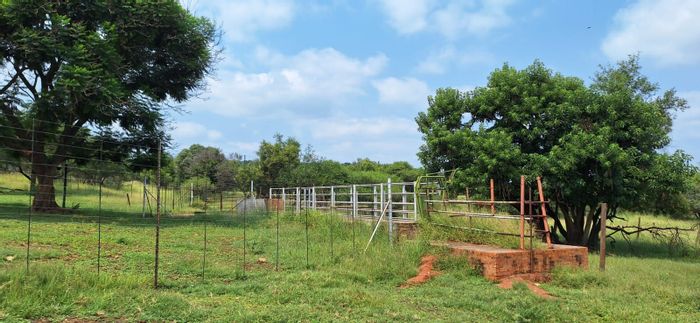 Koster Central Farm For Sale: 60 hectares, game-fenced, borehole, dual residences.