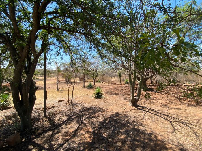 Hartbeesfontein Farm For Sale: 68 hectares, wildlife, hunting, chalets, and pools.