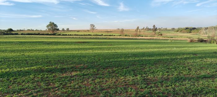 For Sale: Versatile 165ha farm in Ventersdorp Rural with water access and facilities.