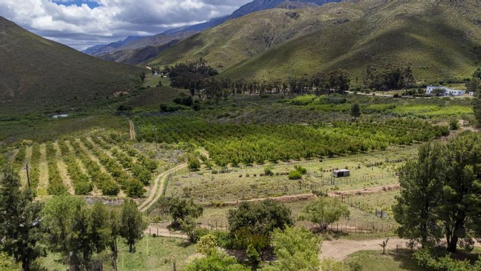 Ladismith Rural Farm For Sale: 223 hectares, solar power, abundant water supply.