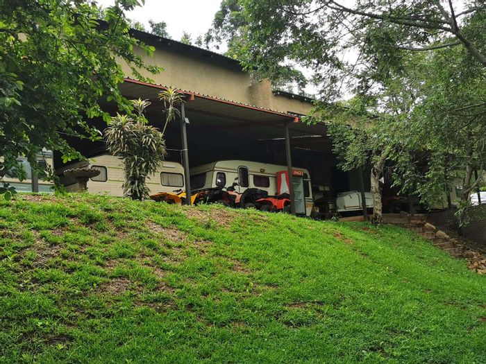 Versatile 83-hectare farm for sale in White River AH with water resources.