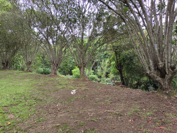 Vacant land for sale in Waterfall: 1800 m2 near amenities and nature.