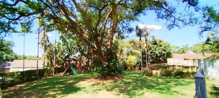 Arborpark House For Sale: 3 beds, 2 baths, rental flats, large yard, office.