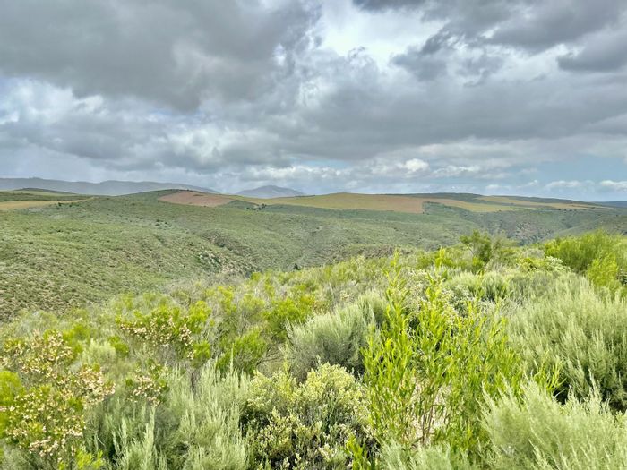 550ha Farm in George Rural for Sale: River, grazing land, and diverse potential.