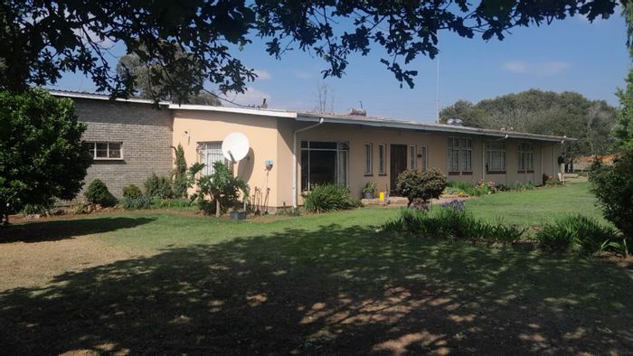 Farm For Sale in Piet Retief: 10 ha, borewells, solar, income-generating Eucalyptus.