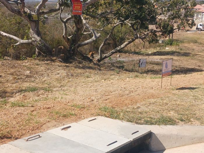 Vacant Land Residential in Kamagugu For Sale: Prime location, customizable stands, near amenities.