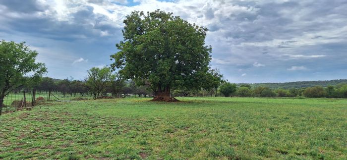 Koster Central Farm For Sale: Income-generating resort, livestock facilities, and abundant amenities.