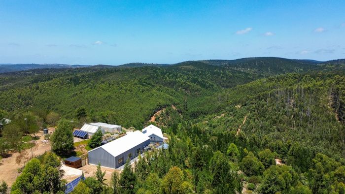 Sedgefield Rural Farm For Sale: Off-grid living, income potential, and expansion opportunities.