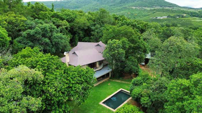 For Sale: 24.7-hectare macadamia farm in Hazyview Central with dual residences.