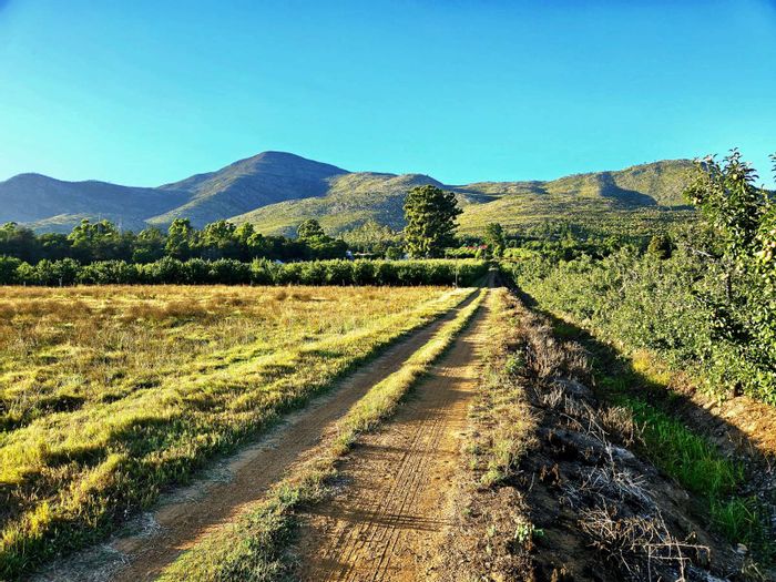 Joubertina Rural Farm For Sale: Guest accommodations, fruit farming, hiking trails, and water rights.