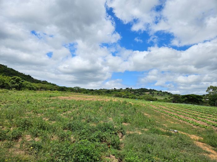 For Sale: Hilltop AH Farm with 4.8 hectares, warehouses, and Wendy house.