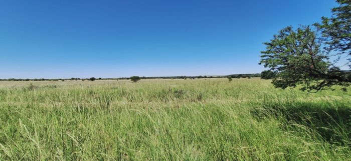 Koster Central Farm For Sale: 109 hectares, livestock, game area, water resources included.