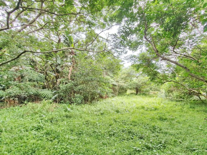 Vacant Land Residential For Sale in Zimbali with fairway frontage and mature trees.