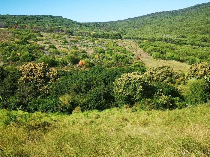 Vacant Land Residential For Sale in Dana Bay: 1,089sqm with green belt views.