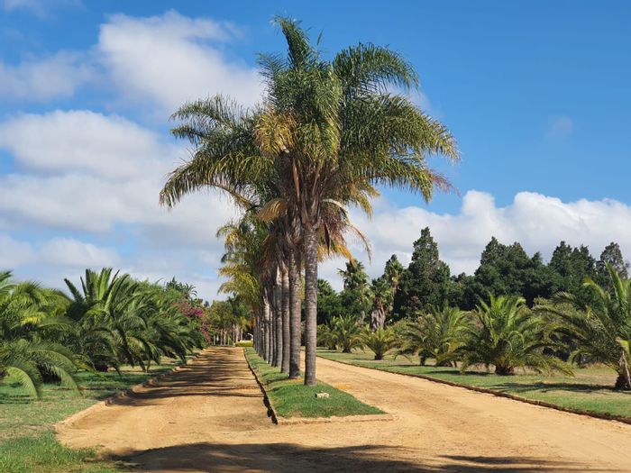 For Sale: 20-hectare farm in Malmesbury Rural with multiple homes and irrigation.