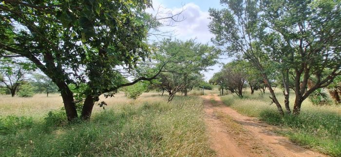 Koster Central Farm For Sale: 21ha, fully fenced, equipped borehole, endless potential.