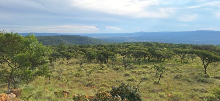 Koster Central Farm For Sale: Game-fenced, water resources, cattle camps, and accommodation.