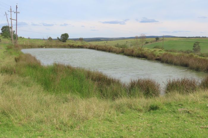 Farm for Sale in Ruiterbos: Water security, fertile land, renovated home, storage facility.