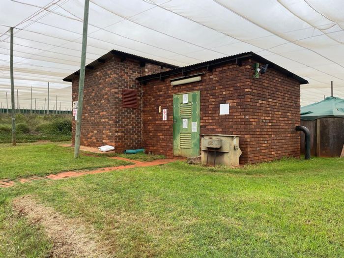 Eerstegoud AH Farm For Sale: 1,000ha with citrus, livestock, and extensive water resources.
