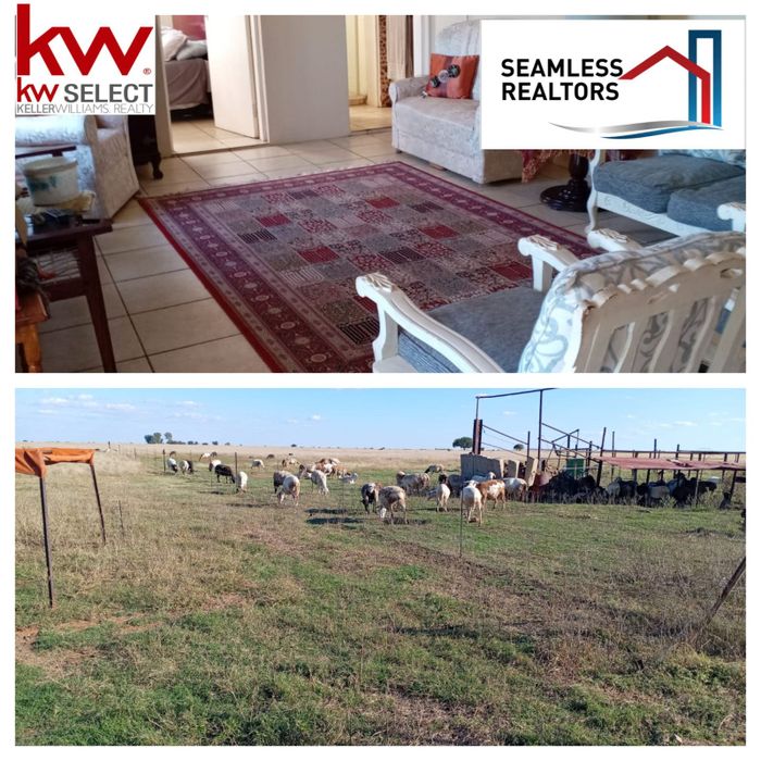 For Sale: 59.96 ha farm in Bloemhof Rural with furnished house and livestock.